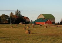 Rural Community Immigration (RCIP)