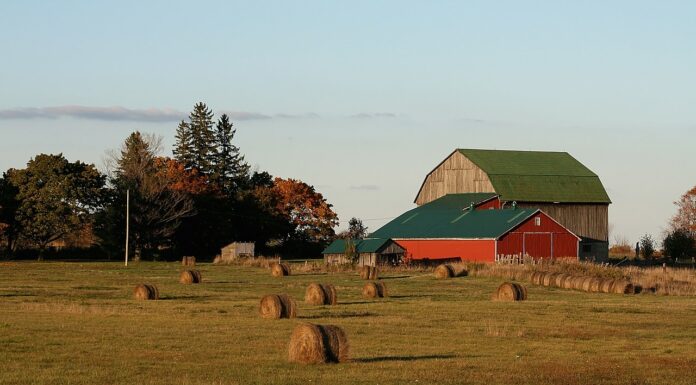 Rural Community Immigration (RCIP)