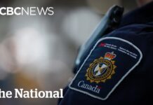 Canadá deporta aproximadamente 400 pessoas por semana, um dos maiores índices nas ultimas décadas