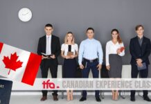 Como imigrar para o Canadá após trabalhar no país Canadian Experience Class (CEC): Como Imigrar Após Trabalhar no Canadá