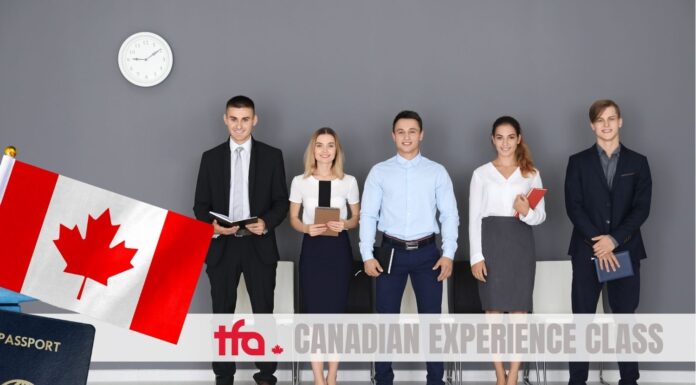 Como imigrar para o Canadá após trabalhar no país Canadian Experience Class (CEC): Como Imigrar Após Trabalhar no Canadá