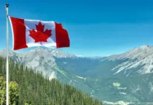 Dicas de economia para imigrantes no Canadá: bancos sem tarifa e cashback Dicas de economia para imigrantes no Canadá: bancos sem tarifa e cashback