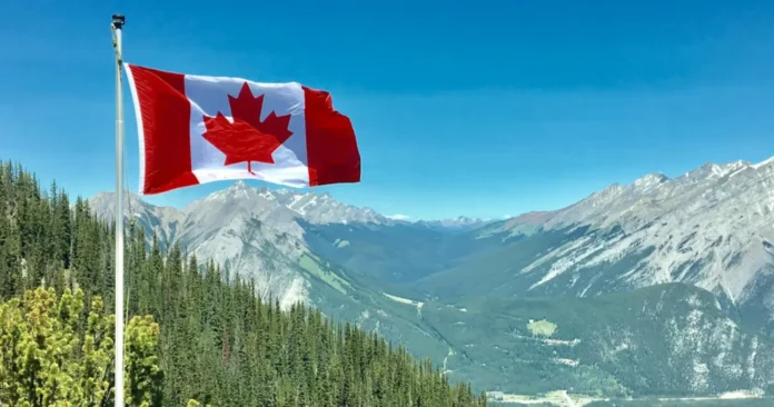Dicas de economia para imigrantes no Canadá: bancos sem tarifa e cashback