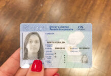 Guia completo da carteira de motorista canadense para brasileiros Carteira de motorista canadense para brasileiros: guia completo