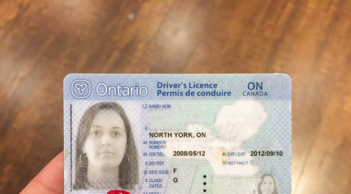 Guia completo da carteira de motorista canadense para brasileiros Carteira de motorista canadense para brasileiros: guia completo