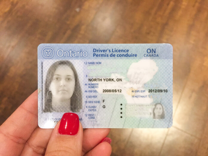 Carteira de motorista canadense para brasileiros: guia completo
