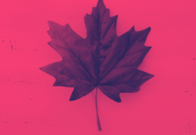 Profissões em alta demanda no Canadá para 2026: setores que contratam Profissões em alta demanda no Canadá 2026: setores que contratam