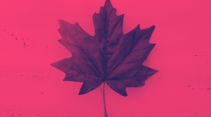 Profissões em alta demanda no Canadá para 2026: setores que contratam Profissões em alta demanda no Canadá 2026: setores que contratam