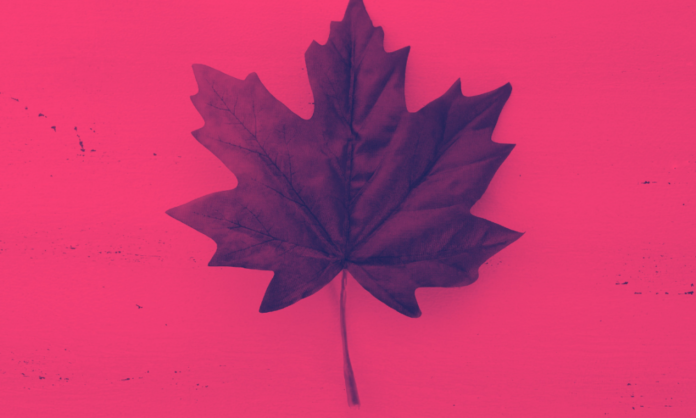 Profissões em alta demanda no Canadá 2026: setores que contratam