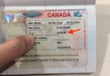 Visto de visitante para o Canadá: Super Visa, eTA e comprovantes Visto de visitante para o Canadá (TRV): Super Visa, eTA e comprovantes