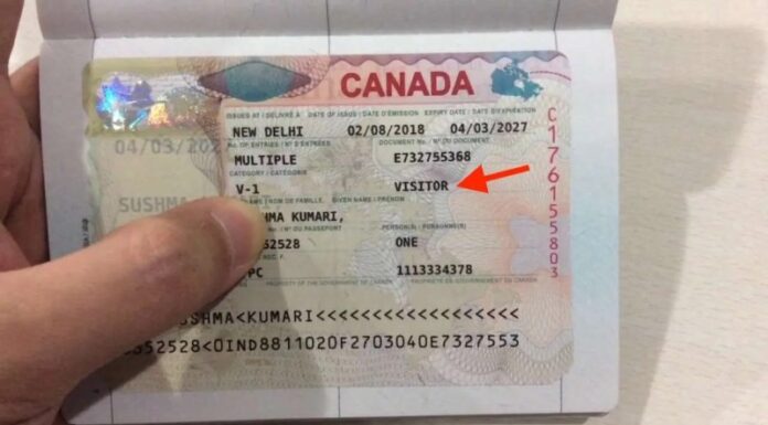 Visto de visitante para o Canadá: Super Visa, eTA e comprovantes Visto de visitante para o Canadá (TRV): Super Visa, eTA e comprovantes