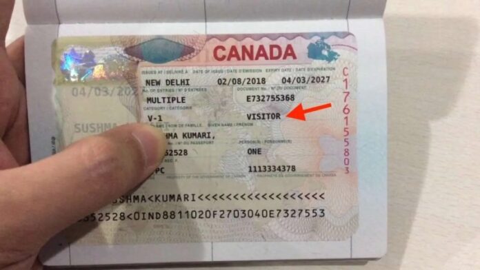 Visto de visitante para o Canadá (TRV): Super Visa, eTA e comprovantes