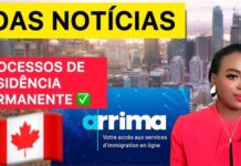 Arrima Quebec: novo sistema de declaração de interesse e pontuação Arrima Quebec: novo sistema de declaração de interesse e pontuação