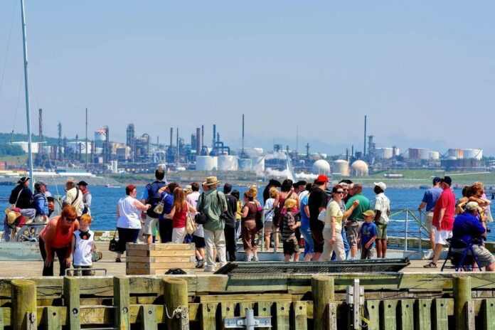 PNP Nova Scotia (NSNP) como aplicar: guia completo