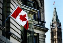 Carta de equidade processual: como responder, prazo e provas Procedural fairness letter como responder: prazo e provas