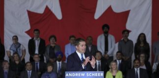 O que muda no Programa de Indicação dos Territórios do Noroeste (NTNP) Northwest Territories Nominee Program (NTNP): o que muda