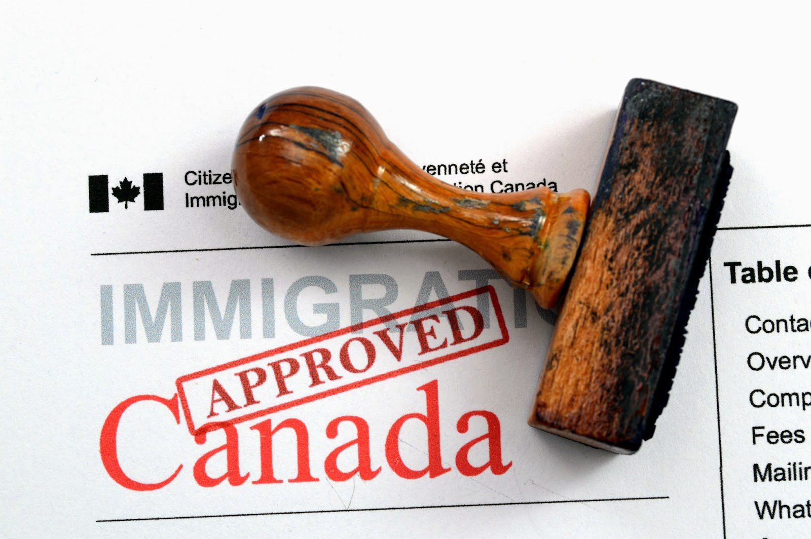 aprovação de visto de estudante no Canadá